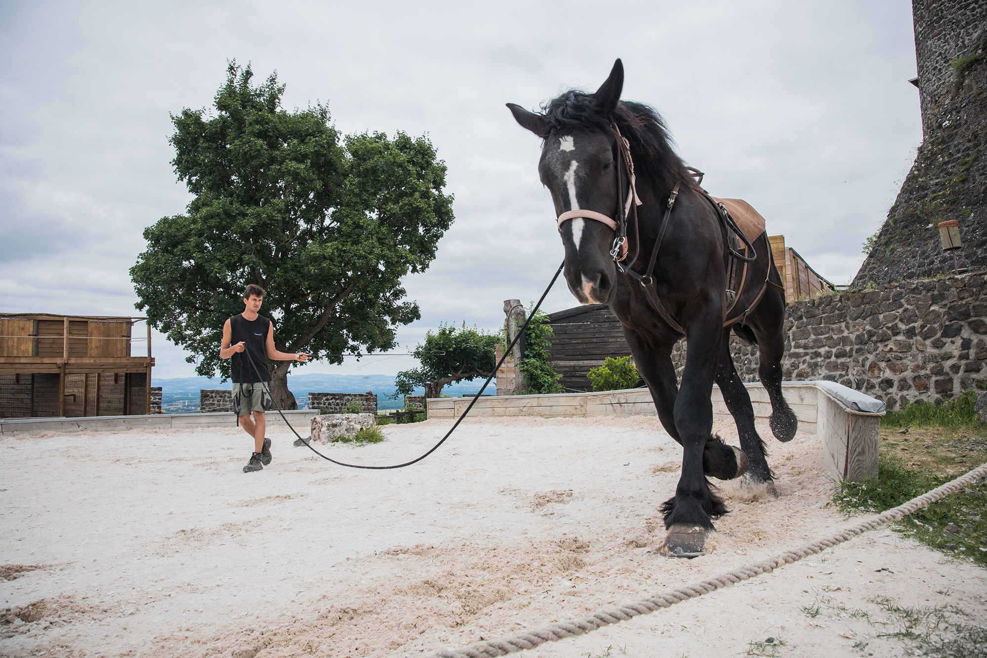 Partis prenants du spectacle, les chevaux sont entrainer tous les jours. - © VÃ©ro Martin
